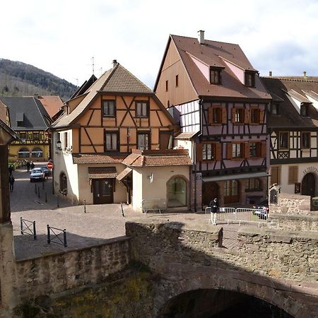 Gites Du Stekala Kaysersberg-Vignoble Exterior foto