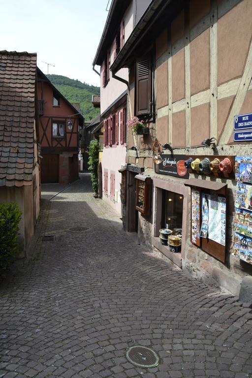 Gites Du Stekala Kaysersberg-Vignoble Quarto foto